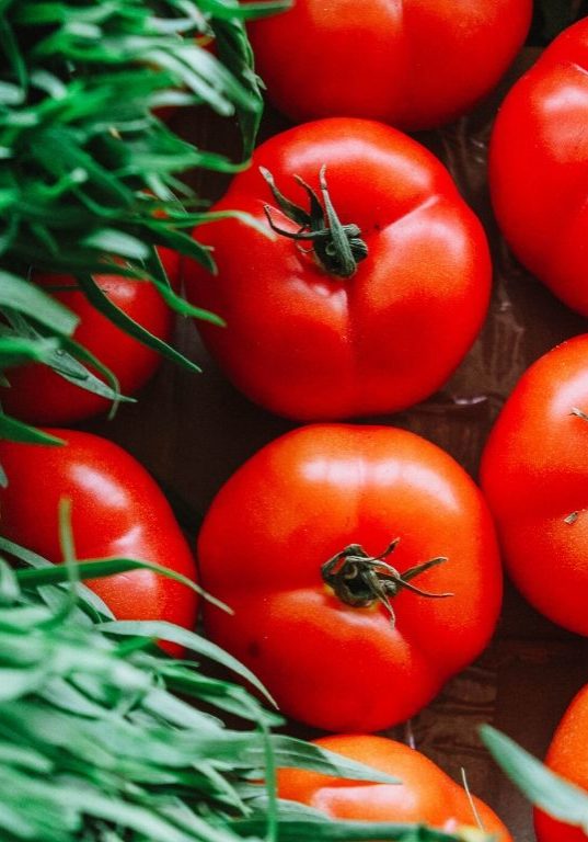 Nurture Your Life Tomatoes